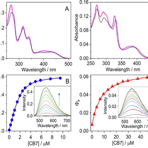 Absorption Spectra Of 1 95 Lm Chl A And 0 89 Lm Nit C In Aqueous Download Scientific