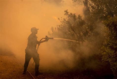 Feux De Forêt Le Plan Du Maroc Pour Améliorer La Lutte Contre Les