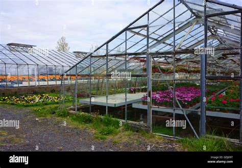 Greenhouses Hi Res Stock Photography And Images Alamy