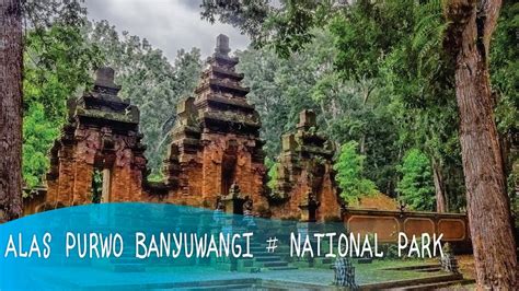 Alas Purwo Banyuwangi # NATIONAL PARK - YouTube