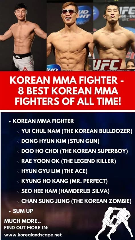 Best Korean MMA Fighters of All Time