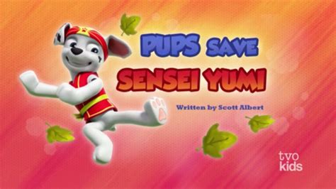 Image - Pups Save Sensei Yumi (Low Quality).png | PAW Patrol Wiki ...