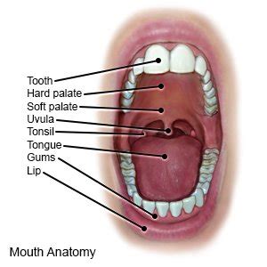 Uvulitis - What You Need to Know