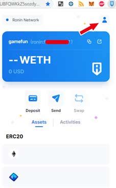 Ronin Wallet Private Key Axie Infinity Neetlife Game