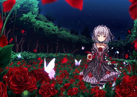 Red Rose Red Pretty Dress Rose Bonito Sweet Nice Butterfly