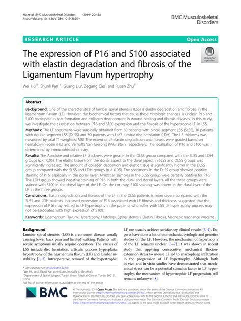 Pdf The Expression Of P And S Associated With Elastin