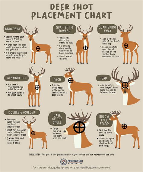 Where To Shoot A Deer 9 Ethical Kill Placements You Need To Know