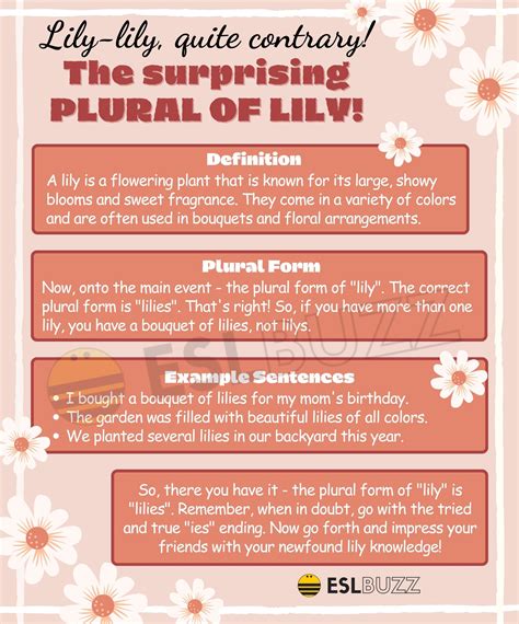 Plural Of Lily A Quick Guide To Proper Noun Usage Eslbuzz