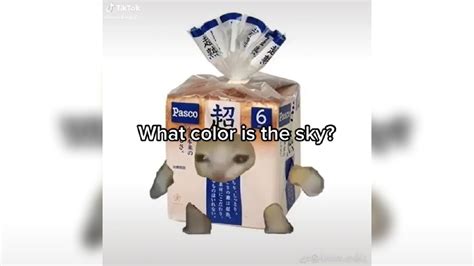 What Color Is The Sky? Ay Mi Amor Cat Meme | Know Your Meme