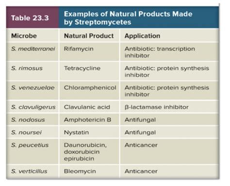 Ch9 Antimicrobial Chemotherapy Flashcards Quizlet