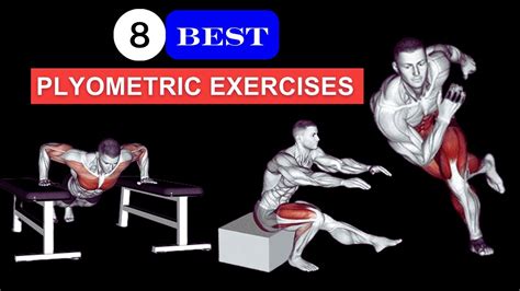 Best Plyometrics Exercises Daily Plyometric Workout Youtube