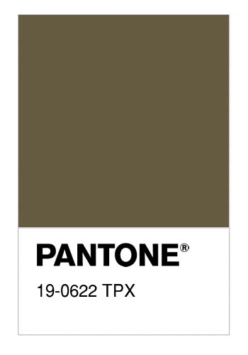 Pantone Tpg Military Olive Color Hex Color Code C Images