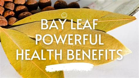 Bay Leaf A Powerful Health Benefits