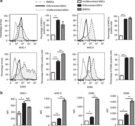 Chondrogenic Differentiation Induces The Expression Of Immune Antigens