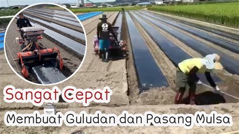 Bikin Guludan Dan Pasang Mulsa Cukup Dengan Alat Ini YouTube