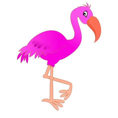 Vector Pink Flamingo Bird Free Transparent Image Hq Transparent Hq Png