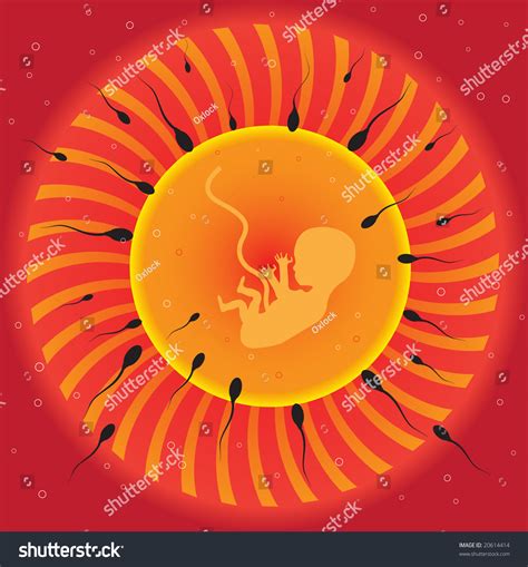 Abstract Colorful Illustration With Human Egg Cell Being Fertilized By