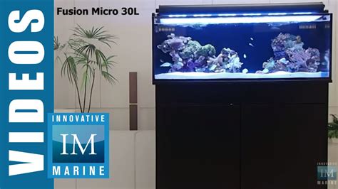 Innovative Marine NUVO Fusion Micro 30L Mini 40 Aquarium YouTube