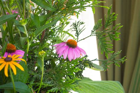 July Flower Arrangement – Kevin Lee Jacobs