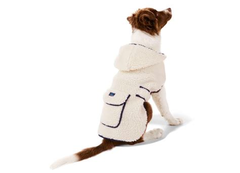 The Best Dog Clothes for Large Dogs - PureWow