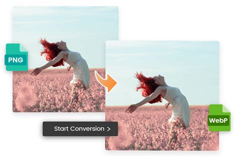 Png To Webp Converter Online For Free Fotor