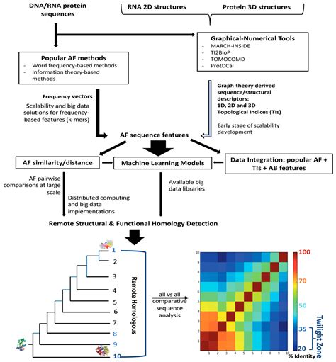 Graph Theory Based Sequence Descriptors As Remote Homology Predictors