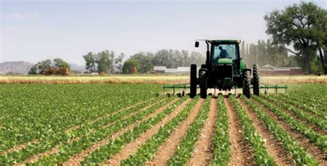 Une Campagne Agricole Bien Pr Par E