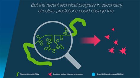 Rna Targeting Small Molecules Bayer Global