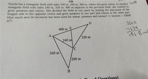 Kamla Has A Triangular Field With Sides M M M Where She Grew