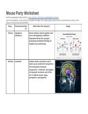 Understanding Drug Effects On Neurotransmitters Mouse Party Course Hero