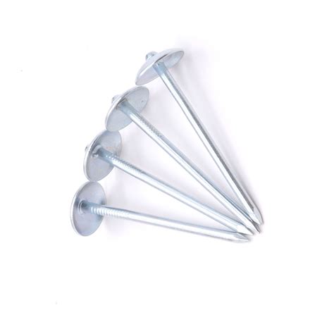 Tianjin Factory Q195 Galvanized Umbrella Head Smooth Twist Shank