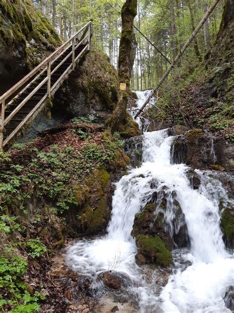 Hohenberg Hofamt Finsterholz Wasserf Lle Bergfex Wanderung