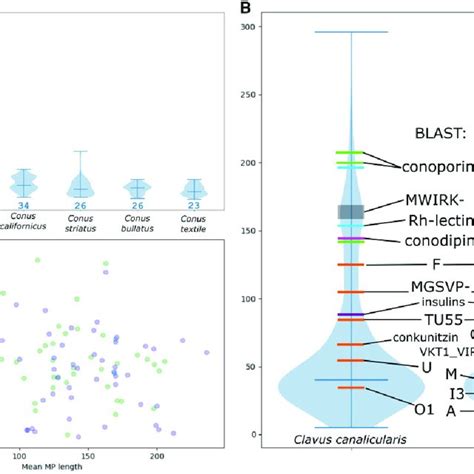 Mature Peptide Region Length Distribution A Violin Plot Of Mature Download Scientific