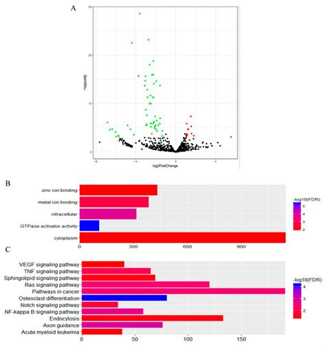 A Volcano Plot Displaying Differentially Expressed Micrornas Of