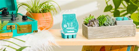 Palm Trees And Ocean Breeze Scentsy Bar Scentsy® Online Store