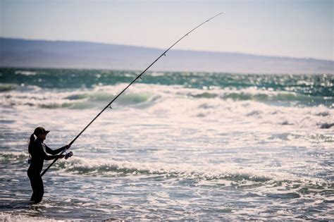 Best Surf Fishing Rods 2025 Top 9 Reviews Buying Guide