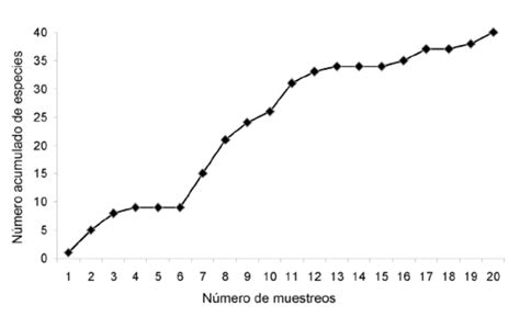 Curva de acumulación de especies elaborada con todos los registros