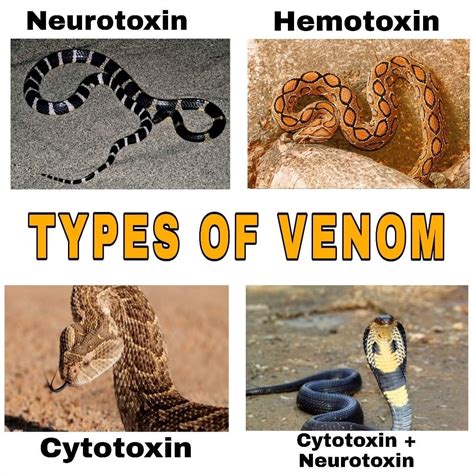 types  venom rdamnthatsinteresting