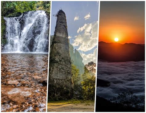 El Cirio una de las maravillas de la Sierra Otomí Tepehua