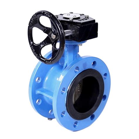 Bs Concentric Double Flanged Butterfly Valve At Best Price In