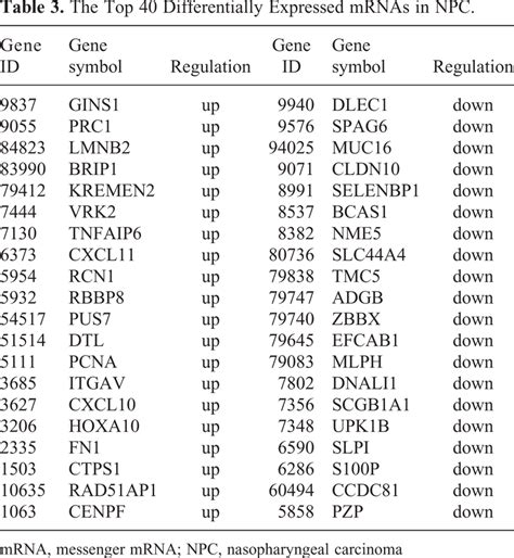 The Top 40 Differentially Expressed Mrnas In Npc Download Scientific Diagram