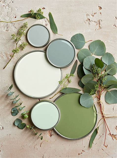 Graduation Project Cosmetics Store Nature Color Palette Mint Green