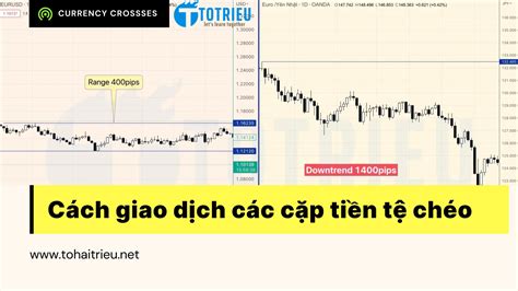 Cách giao dịch các cặp tiền tệ chéo cơ bản hiệu quả Học Đầu Tư Forex