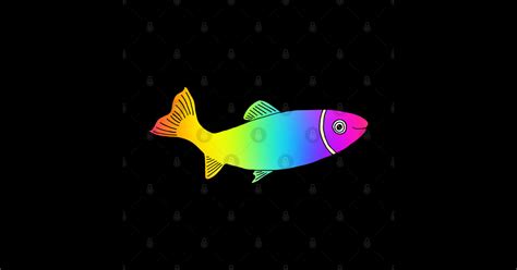 Rainbow Trout Cute Fish In Bright Rainbow Colors Rainbow Trout