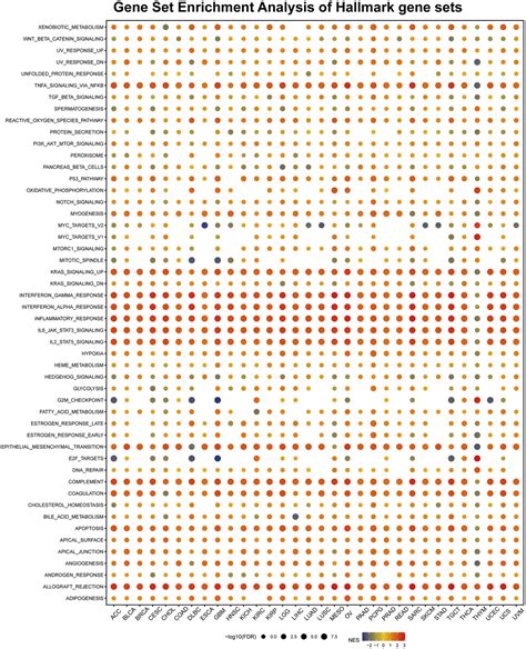 Allograft Inflammatory Factor 1 Is A Potential Diagnostic