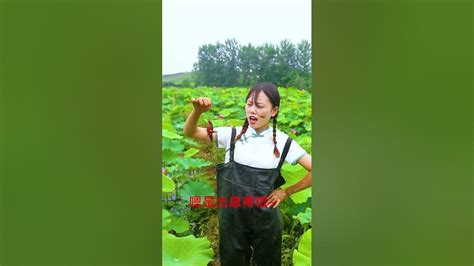 【村裏一枝雪妹妹】農村姑娘荷花池旁偶遇小龍蝦，一直抓啊抓，抓到手軟，直呼回不去了 捕捉 農村生活 Shorts Youtube