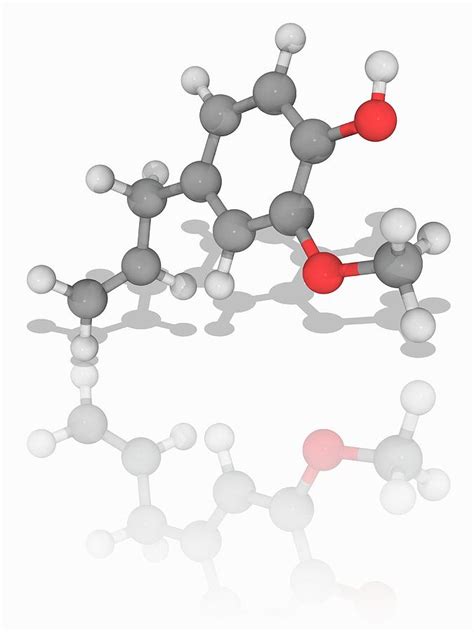 Eugenol Organic Compound Molecule Photograph By Laguna Design Science