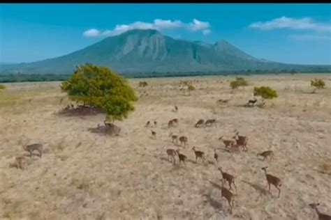 Tempat Wisata Di Jawa Timur Yang Mirip Luar Negeri Dijamin Hemat