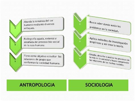 Mapa Conceptual Antropologia Y Sociologia Dayana Belmonte