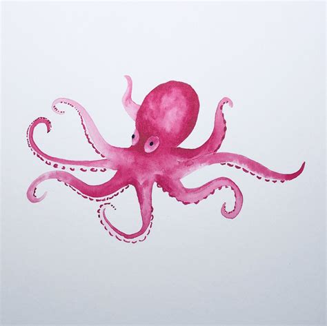 Octopus watercolor in 2024 | Watercolor paintings for beginners, Watercolor paintings easy ...